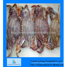 High quality frozen baby blue crabs